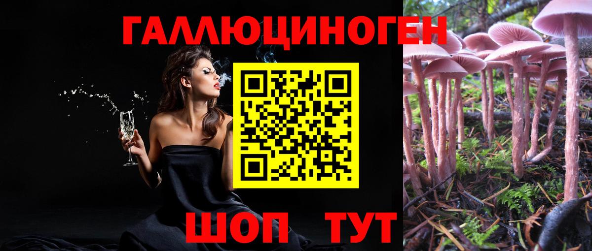 Галлюциногенные грибы Cubensis Богданович