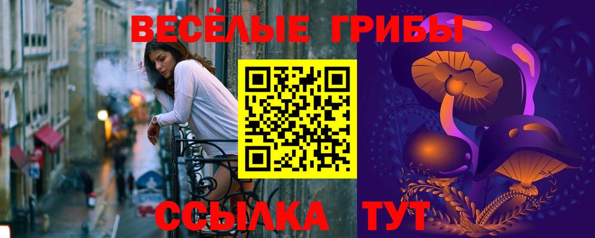 Псилоцибиновые грибы прущие грибы  Псилоцибиновые грибы мухоморы  Вход с VPN  наркошоп  Богданович 